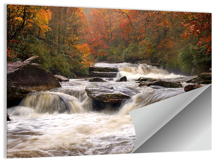 Carolina River in Autumn Wall Art as a poster print