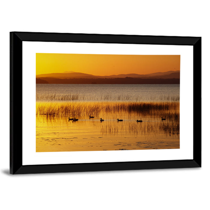 Lake Champlain Golden Sunrise Wall Art as a framed print