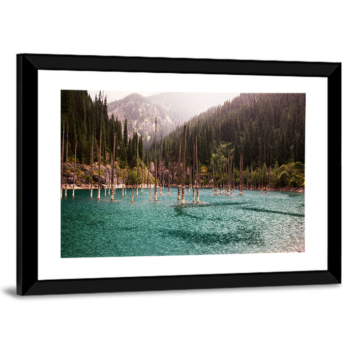 Kaindy Lake Submerged Spruces Wall Art as a framed print