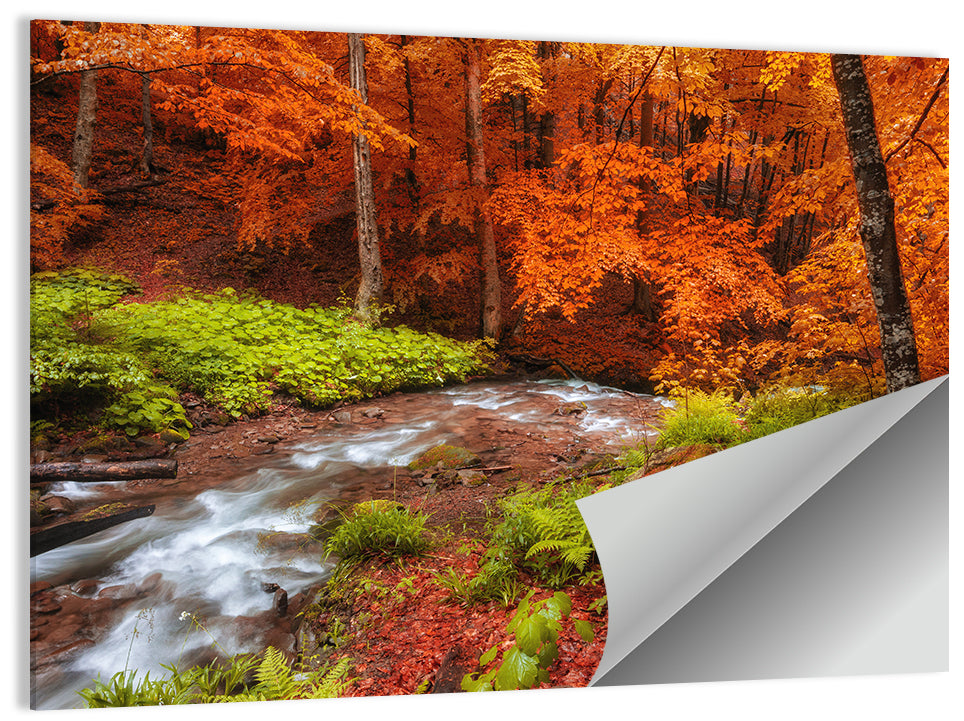 Autumn Forest Stream Wall Art