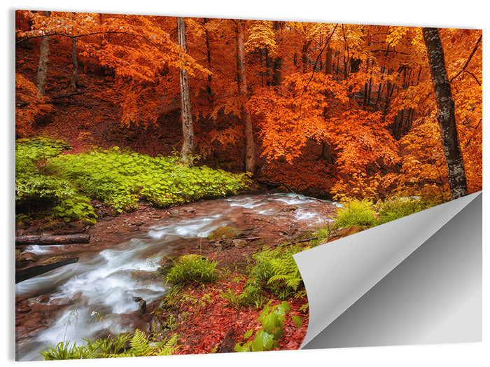 Autumn Forest Stream Wall Art as a poster print