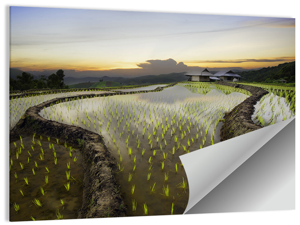 Pa Pong Peang Rice Terrace Wall Art