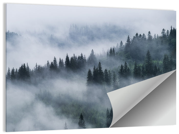 Misty Mountain Pine Forest Wall Art as a poster print