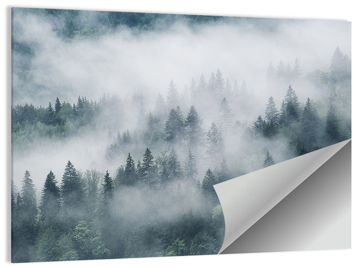 Misty Mountain Forest Wall Art as a poster print