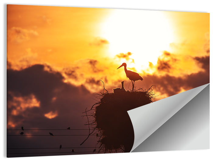 Stork Nest at Sunset Wall Art as a poster print