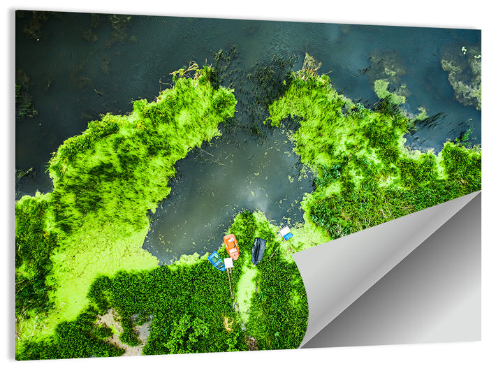 Green Algae Lake with Boats Wall Art as a poster print