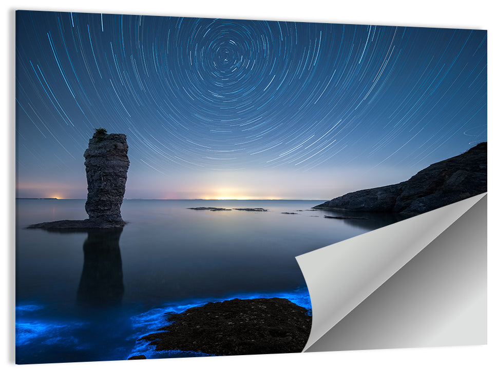 Fluorescent Sea Reef Wall Art