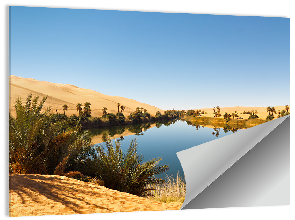 Umm Al Ma Lake Wall Art
