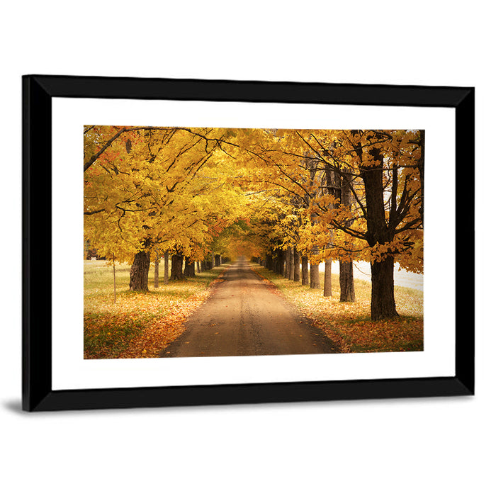 Golden Autumn Road Wall Art as a framed print