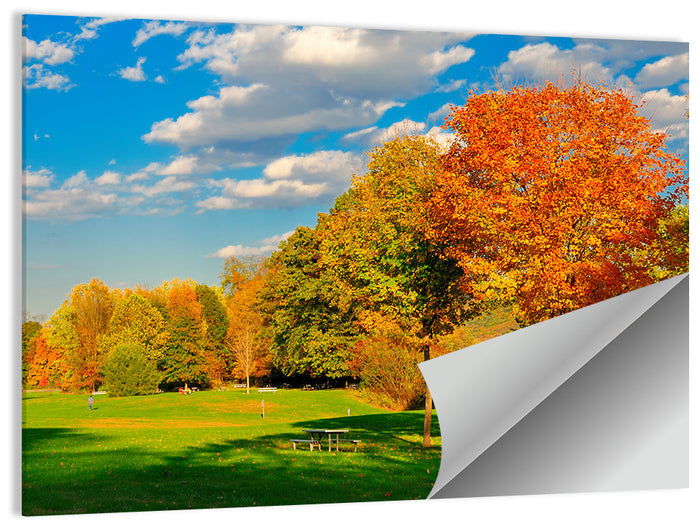 Autumn Trees and Lakeside Lawn Wall Art as a poster print