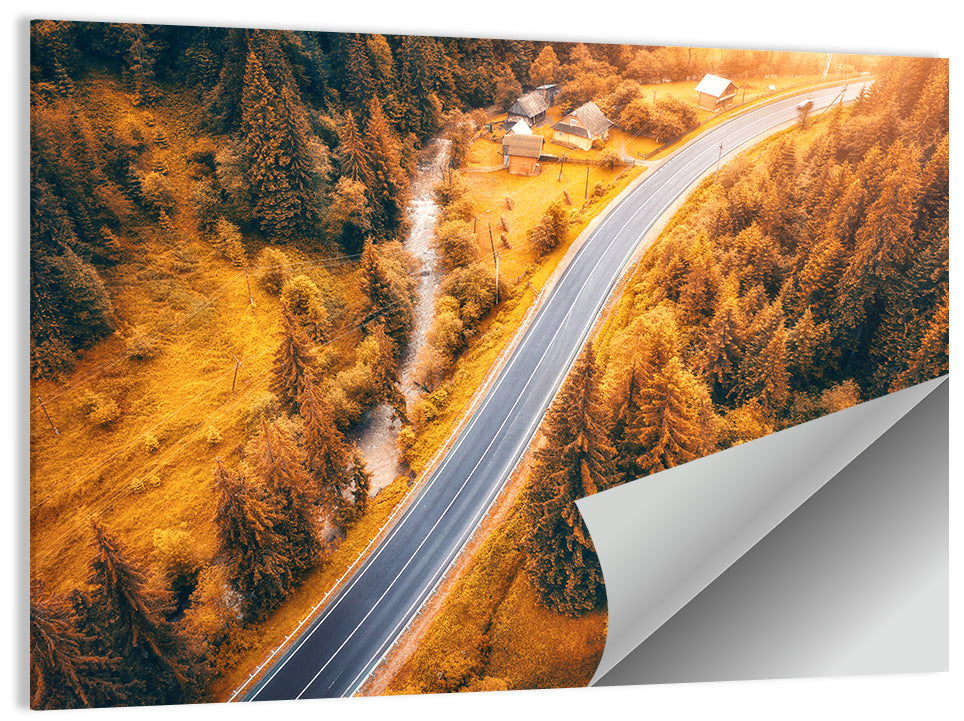 Carpathian Autumn Road Wall Art