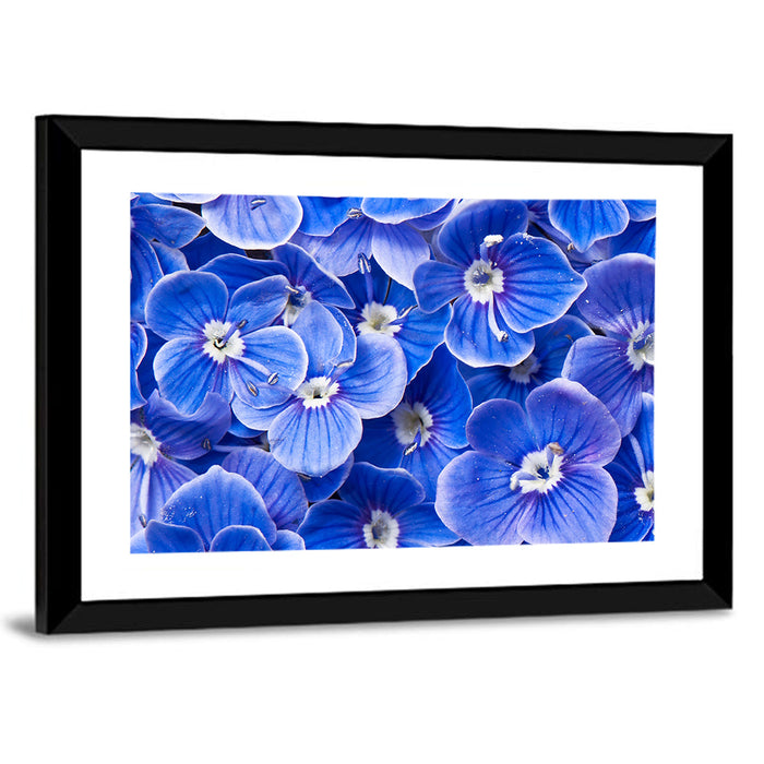 Blue Wildflower Close-up Wall Art as a framed print