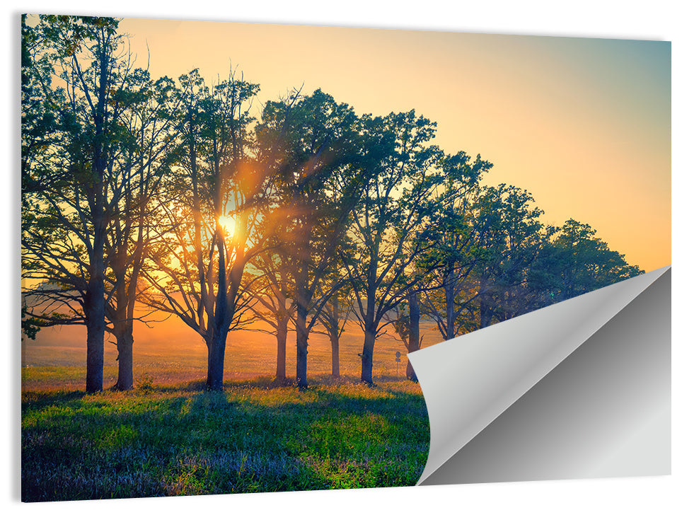 Oak Alley Sunset Wall Art