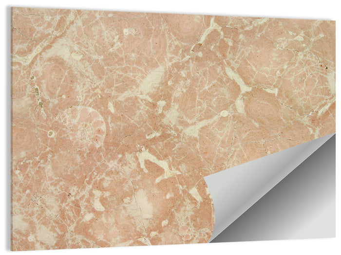 Fossil Veins Marble Study Wall Art as a poster print