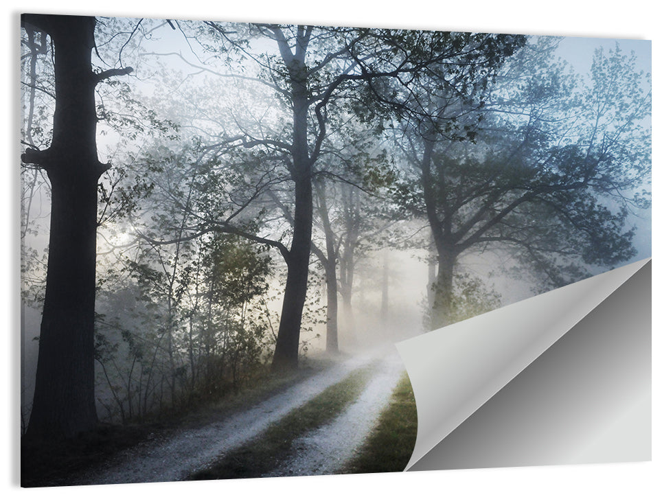 Foggy Forest Path Wall Art, poster print, landscape