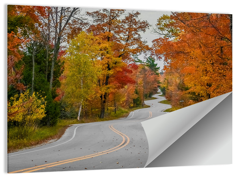 Winding Autumn Highway Wall Art