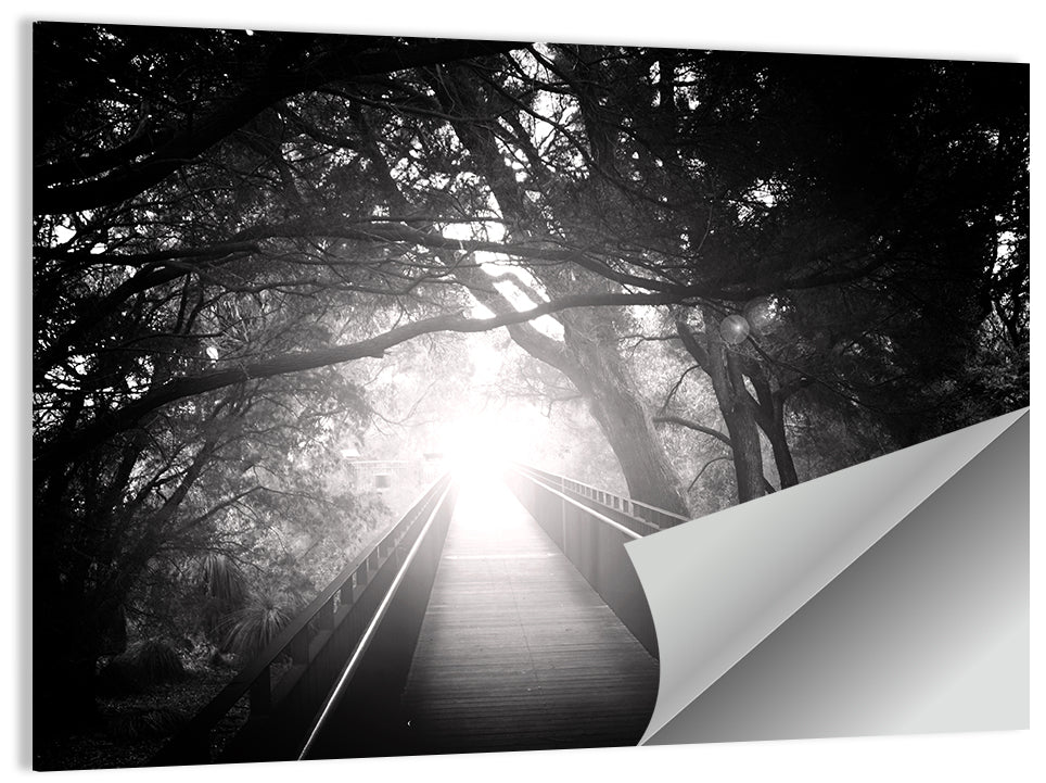 Forest Bridge Wall Art