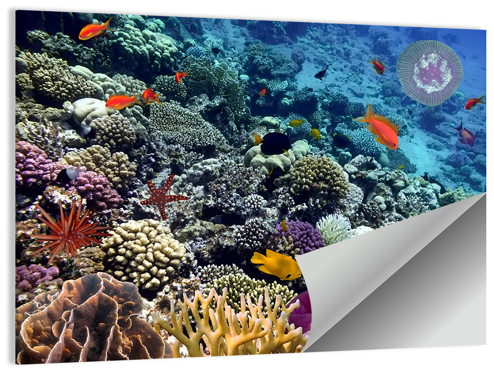 Colorful Coral Reef Wall Art