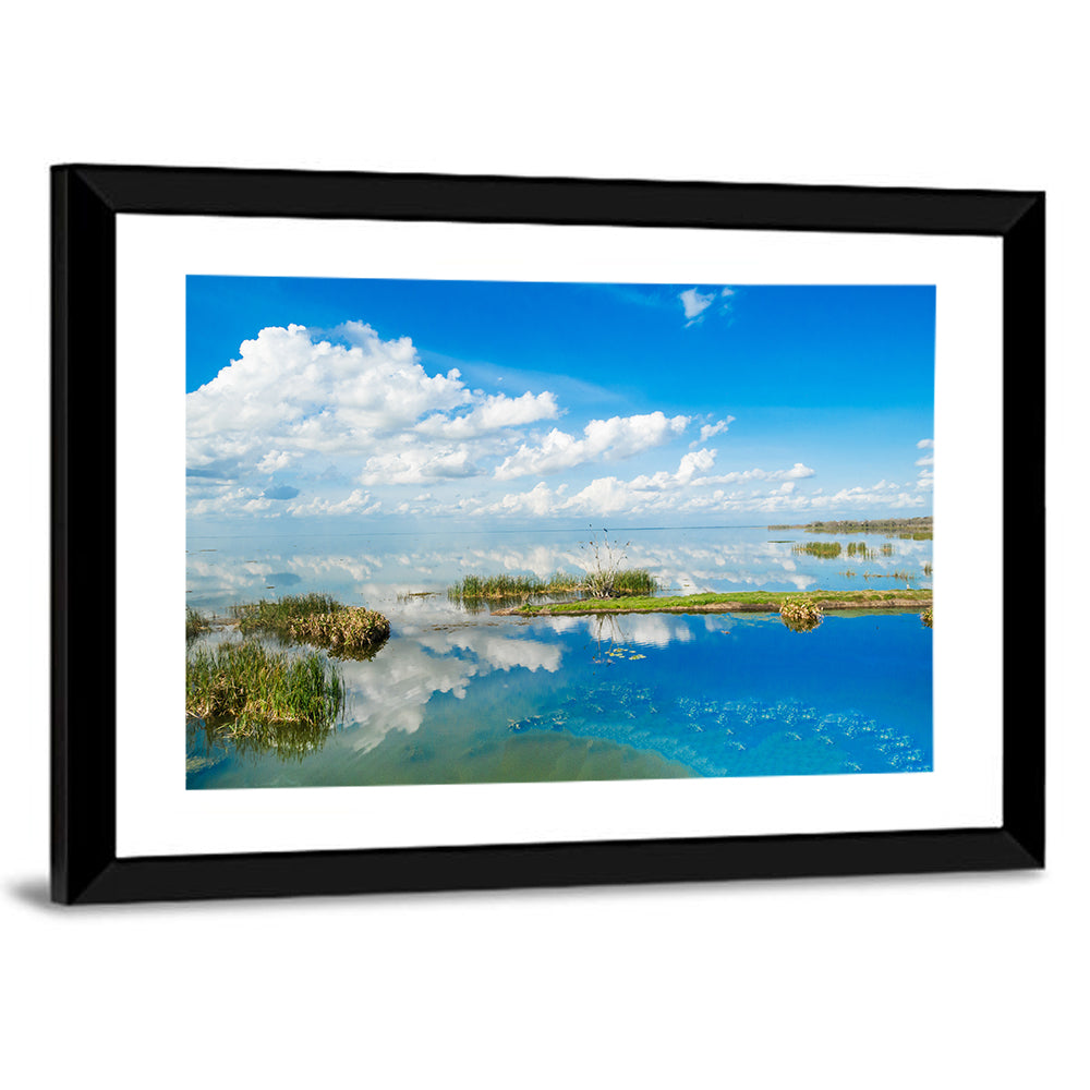 Lake Apopka Wall Art