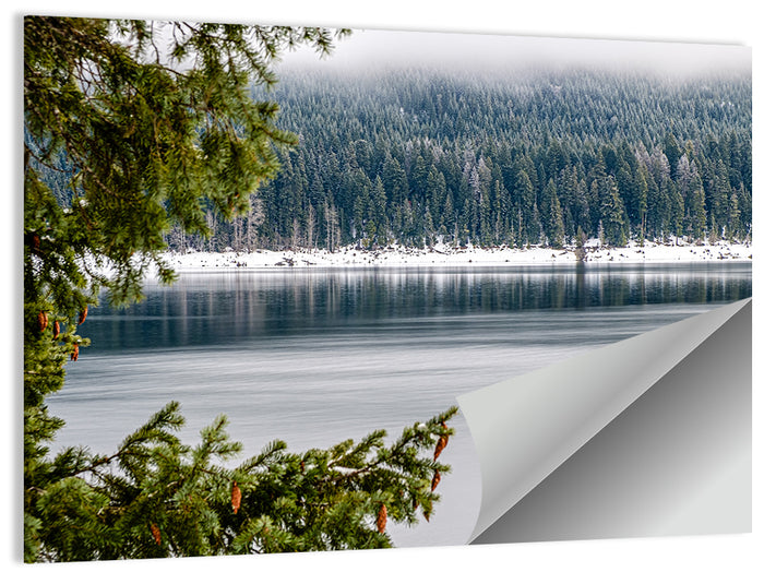 Lake Kachess Foggy Shore Wall Art as a poster print