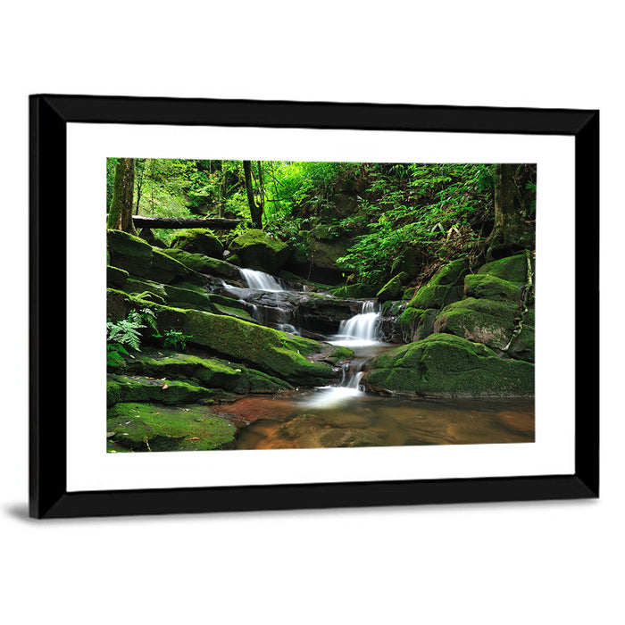 Mossy Rainforest Stream Wall Art as a framed print