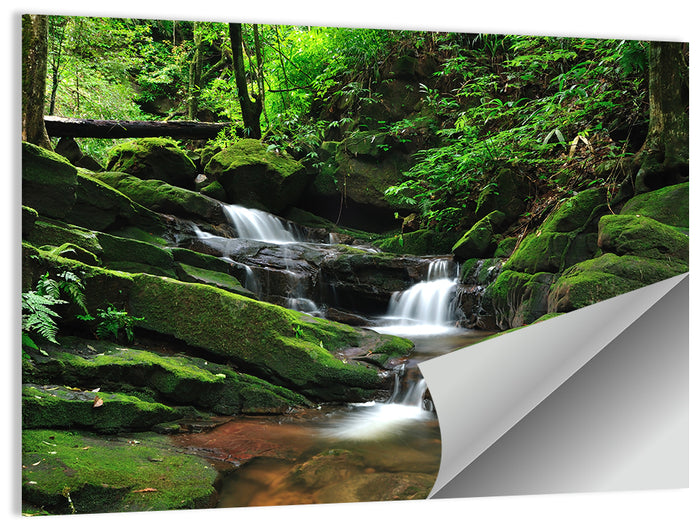 Mossy Rainforest Stream Wall Art as a poster print