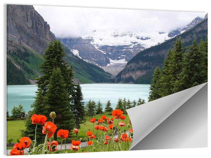 Lake Louise Poppies Wall Art as a poster print