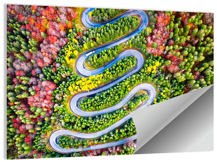 Cheia Autumn Winding Road Wall Art as a poster print