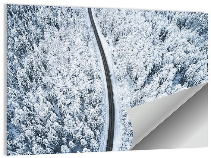 Winding Snow-covered Forest Road Wall Art as a poster print