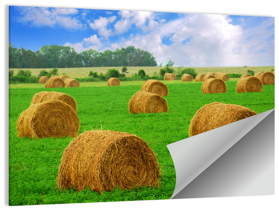 Hay Bales Wall Art