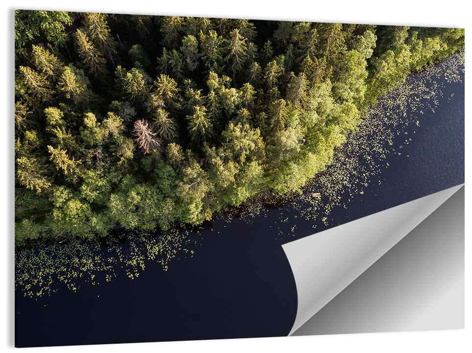 Lake Podnieku Wall Art