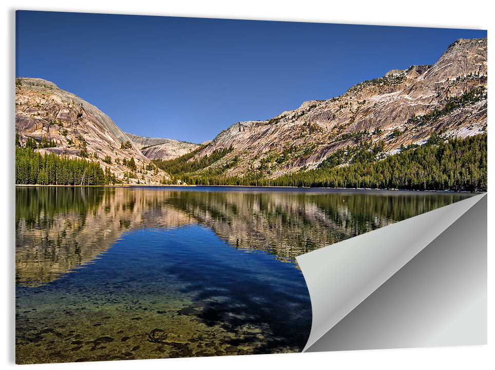 Tenaya Lake Wall Art