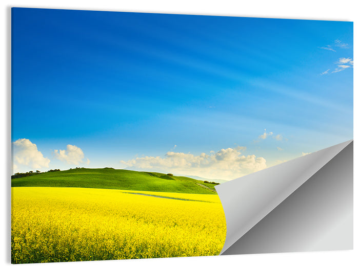 Rapeseed Field and Rolling Hills Under Blue Sky Wall Art as a poster print