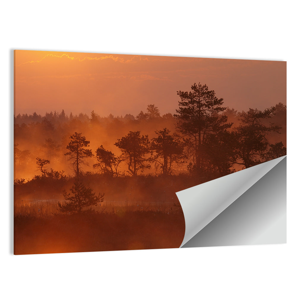 Kakerdaja Bog Wall Art