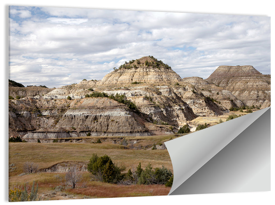 Theodore Roosevelt National Park Wall Art