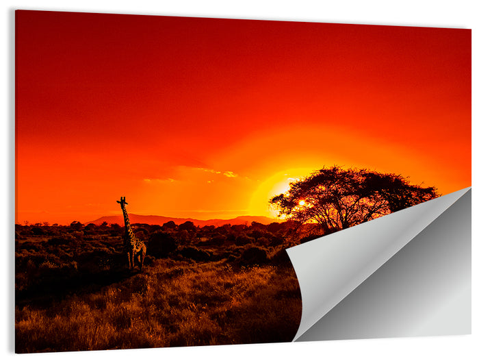 Savanna Sunset with Giraffe Wall Art as a poster print