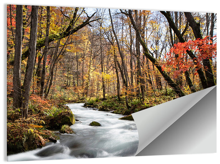 Sunlit Forest Stream Wall Art as a poster print