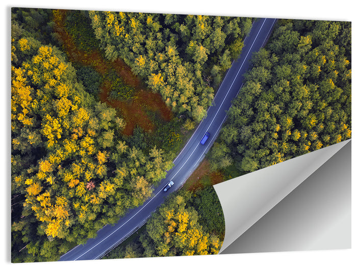 Aerial Autumn Forest Road Wall Art as a poster print