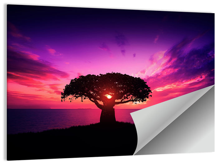 Baobab Sunset Silhouette Wall Art as a poster print