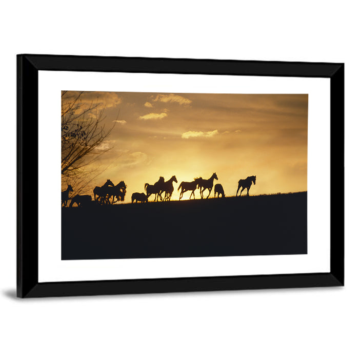 Mustang Silhouettes at Sunset Wall Art as a framed print