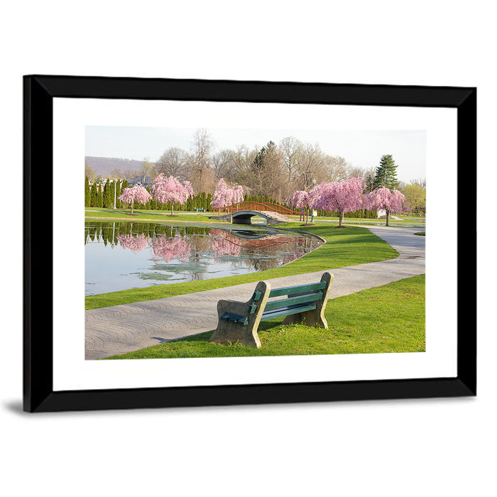 Harrisburg Park Cherry Blossoms Wall Art as a framed print