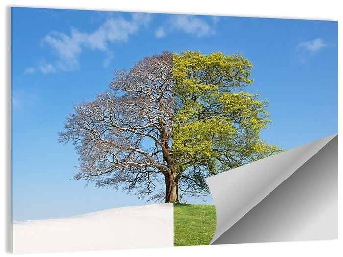 Split Season Tree Landscape Wall Art as a poster print