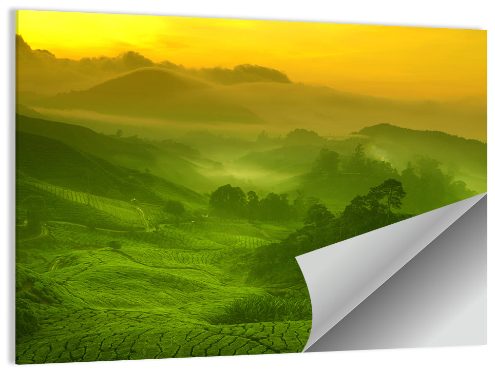 Tea Plantation Wall Art