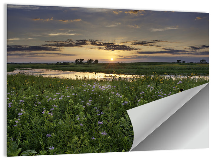 Illinois Fields Sunset Wall Art as a poster print