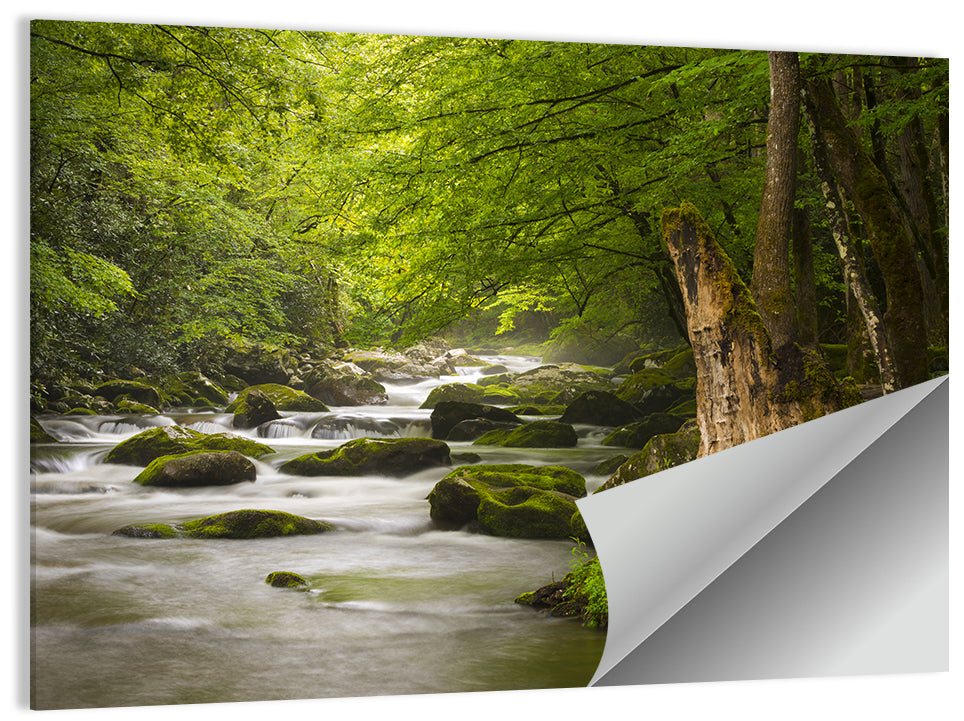 Tremont River Wall Art