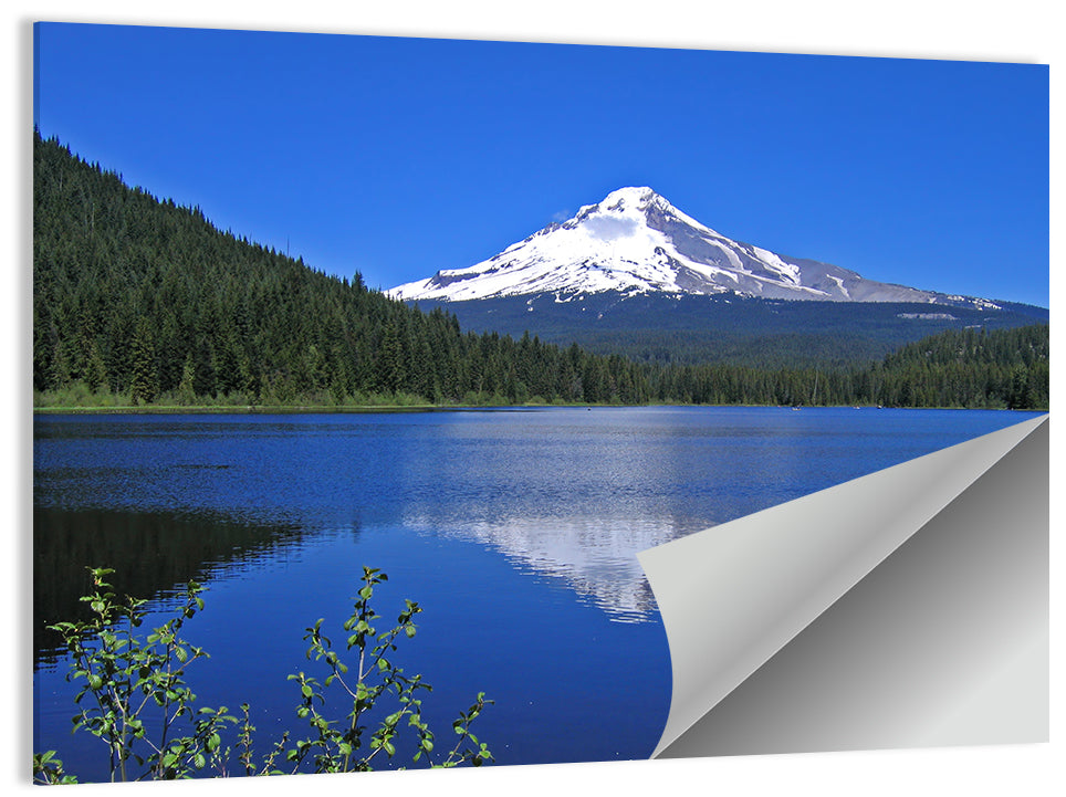 Mount Hood & Trillium Lake Wall Art