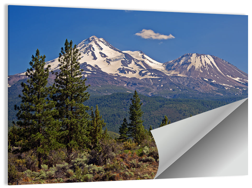 Mount Shasta Wall Art
