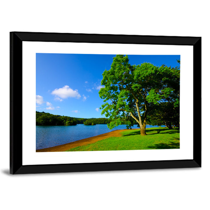 Lake Ippeki Solitary Tree Wall Art as a framed print