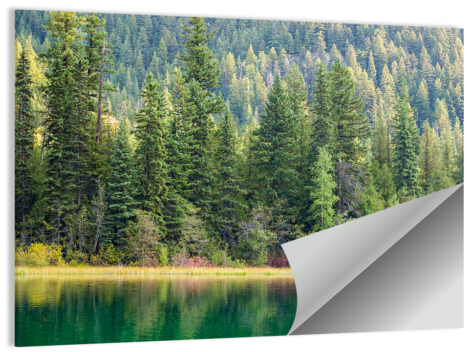 Tranquil Forest Lake Wall Art