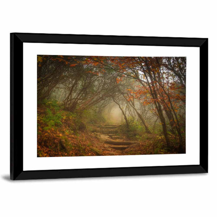 Craggy Garden Path Wall Art as a framed print